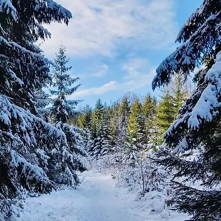 Lipno - Dve Zatoky * Frymburk
