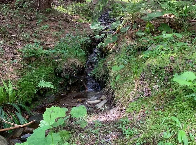 Lipno - Dve Zatoky Lägenhet *